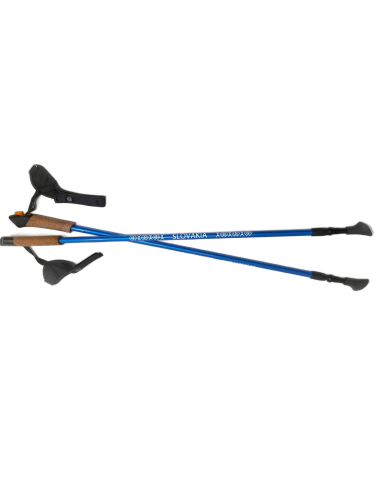 Nordic walking karbónové palice