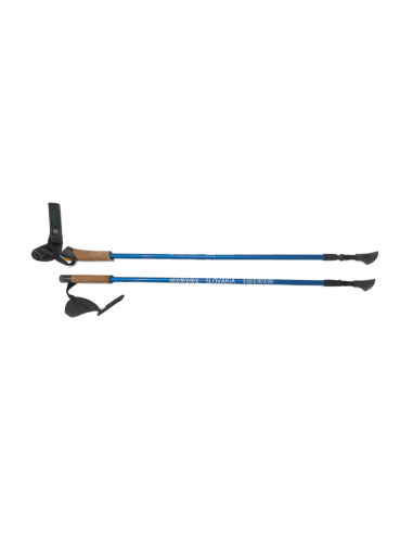 Nordic walking karbónové palice