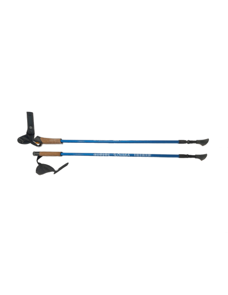Nordic walking karbónové palice