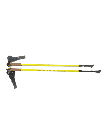 Nordic walking karbónové palice