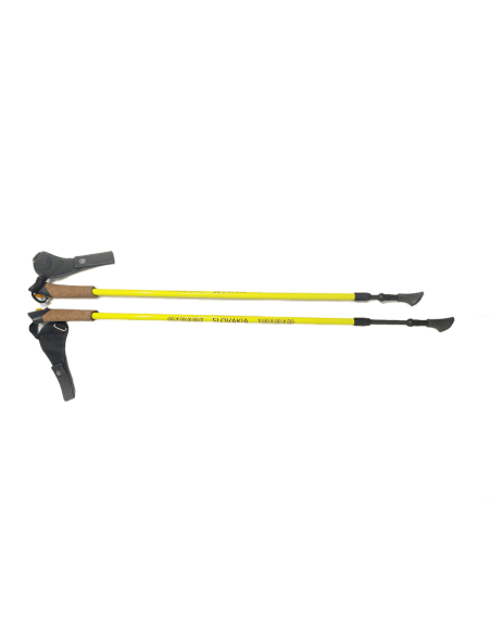 Nordic walking karbónové palice