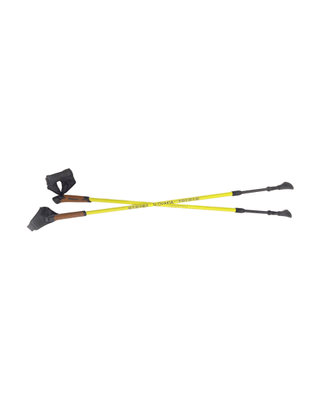 Nordic walking karbónové palice