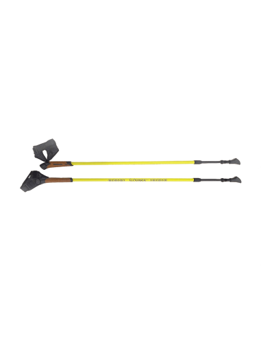 Nordic walking karbónové palice