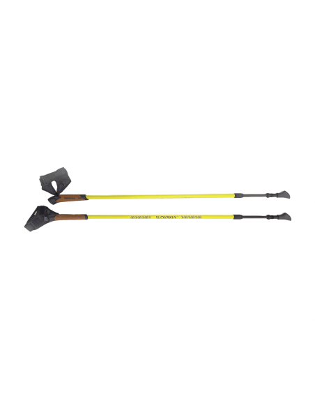 Nordic walking karbónové palice