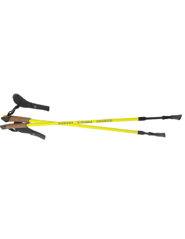 Nordic walking karbónové palice