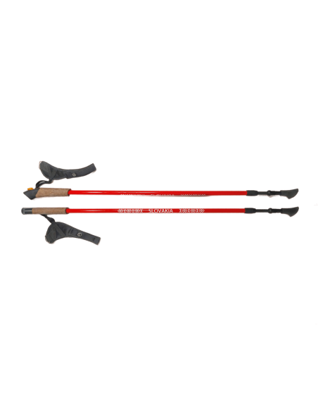 Nordic walking karbónové palice