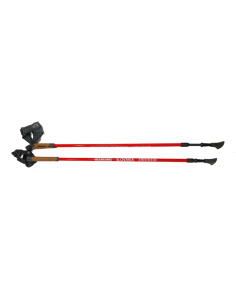 Nordic walking karbónové palice 2