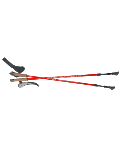 Nordic walking karbónové palice