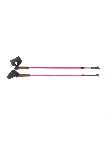 Nordic walking karbónové palice